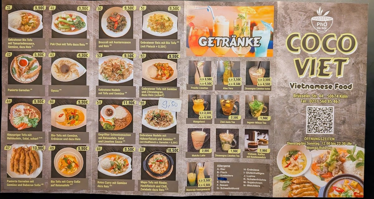 Coco Viet Photo 4