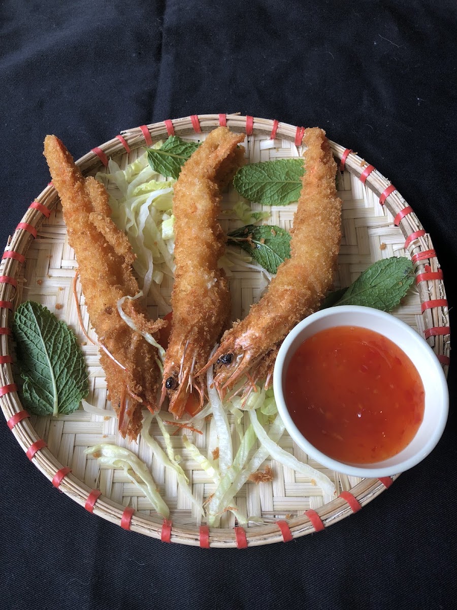 Coco Viet Photo 6