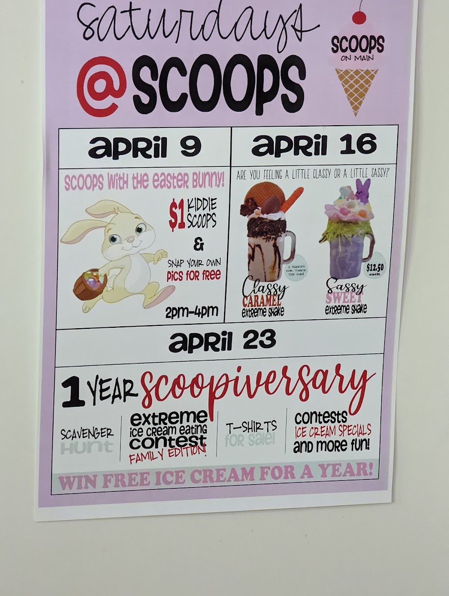 Scoops on Main Photo Menu 2