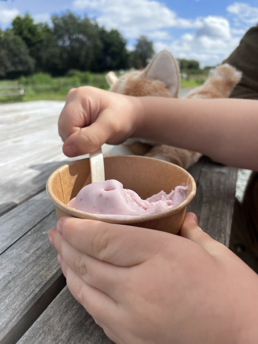 Oaks Farm Ice Cream Photo 5