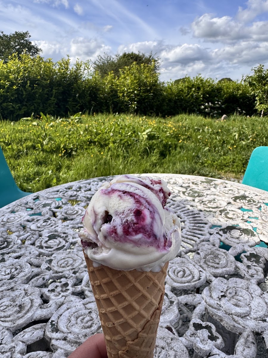 Oaks Farm Ice Cream Photo 8