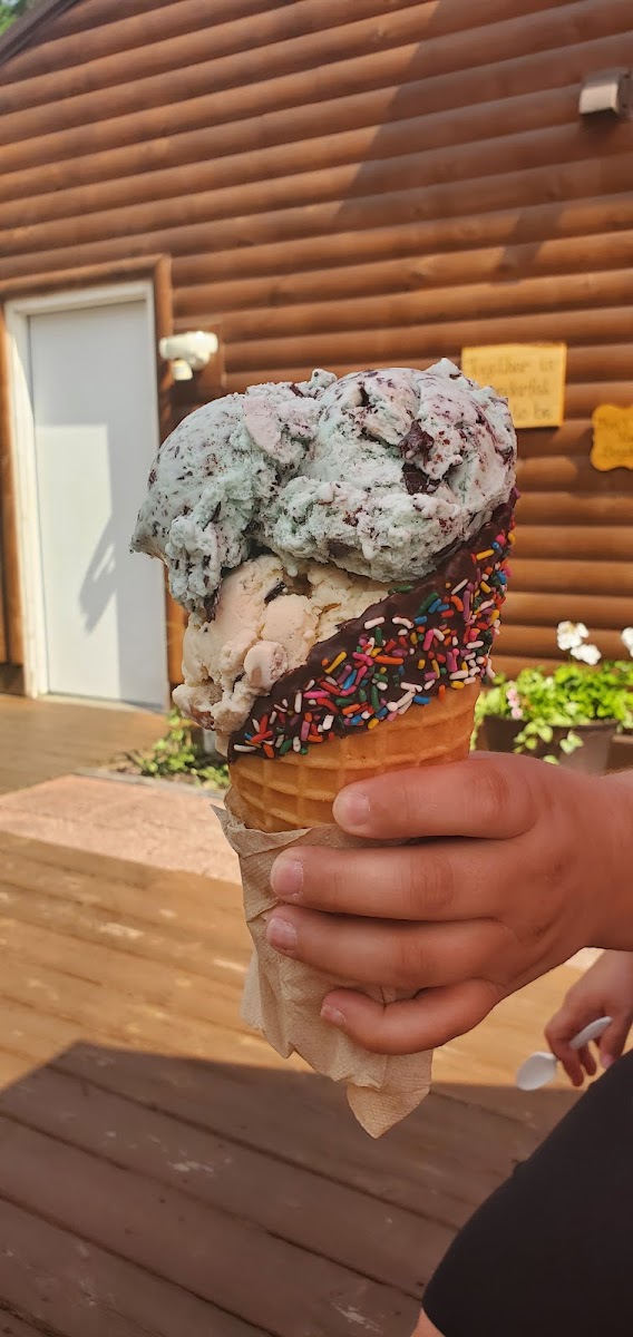 Tip Top Ice Cream Shop Photo 7