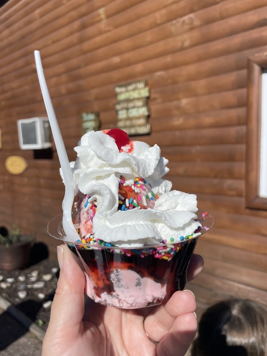 Tip Top Ice Cream Shop Photo 8
