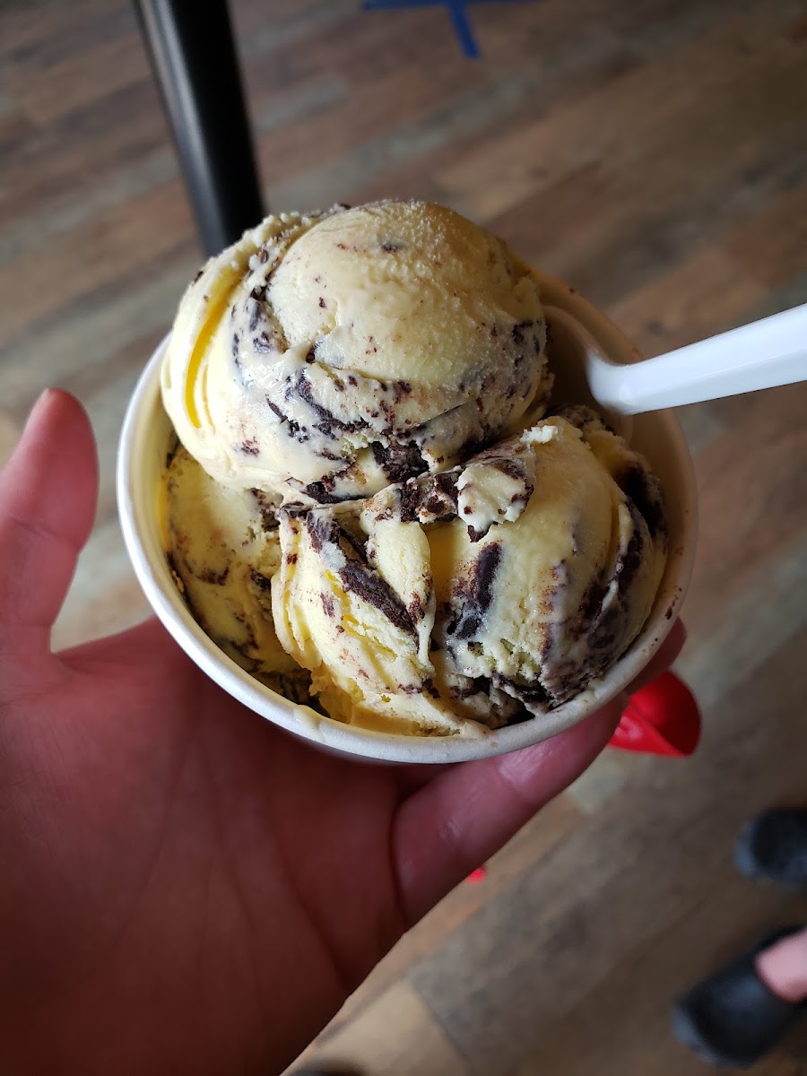 Big Moose Ice Cream Parlour Photo 10