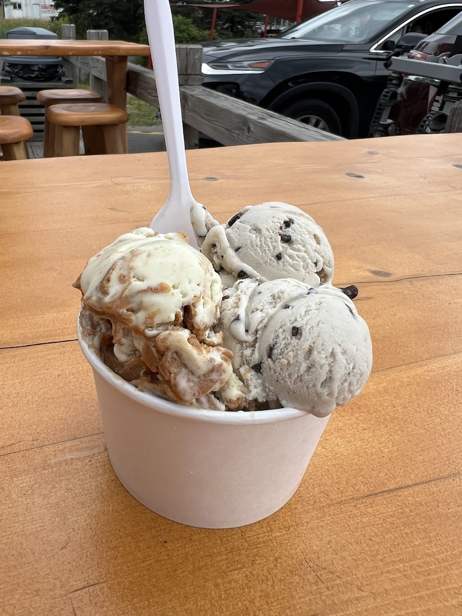 Big Moose Ice Cream Parlour Photo 4