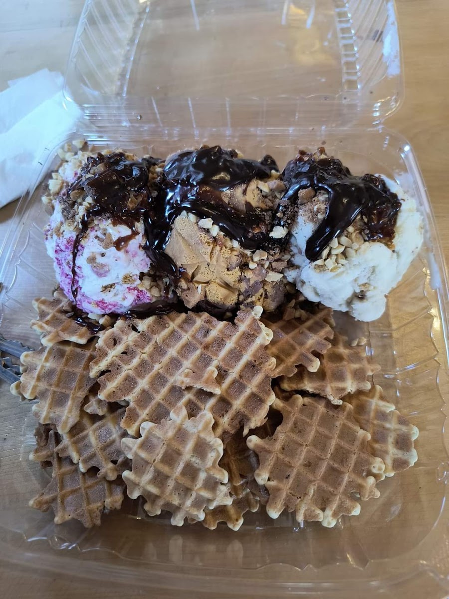 Big Moose Ice Cream Parlour Photo 5