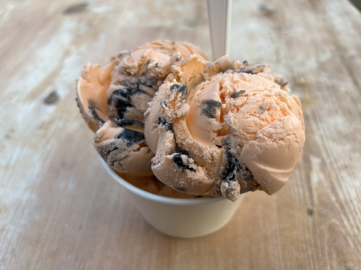 Big Moose Ice Cream Parlour Photo 6