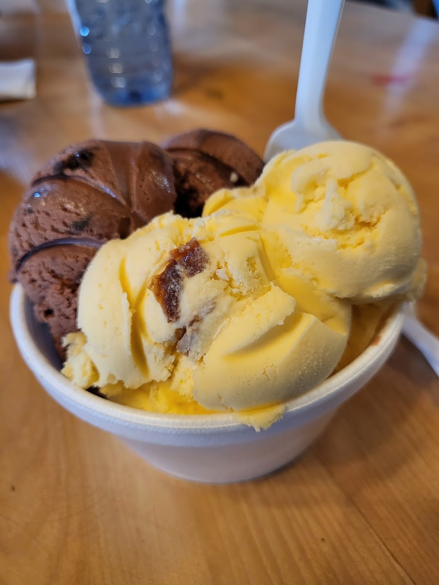 Big Moose Ice Cream Parlour Photo 8