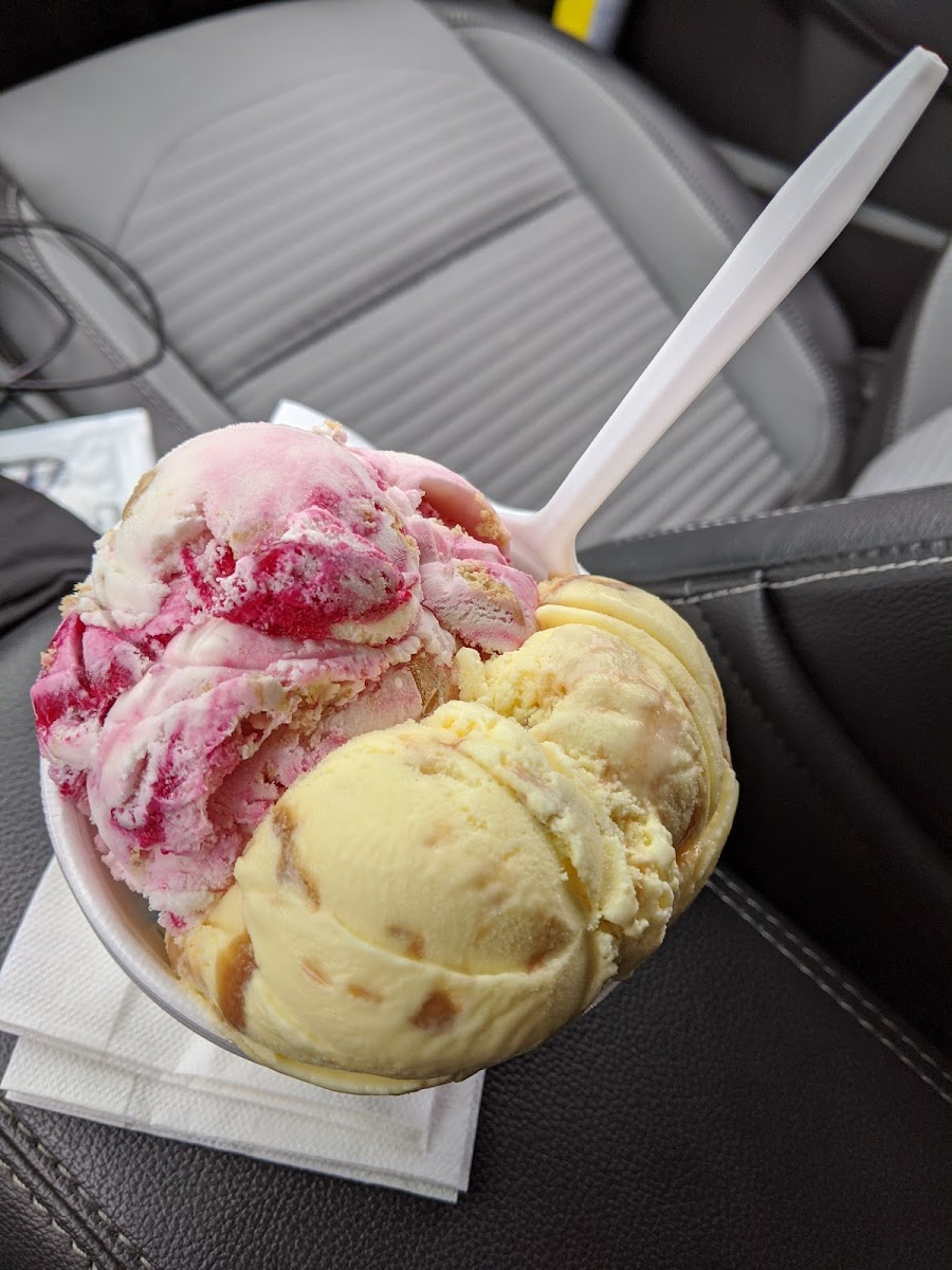Big Moose Ice Cream Parlour Photo 9