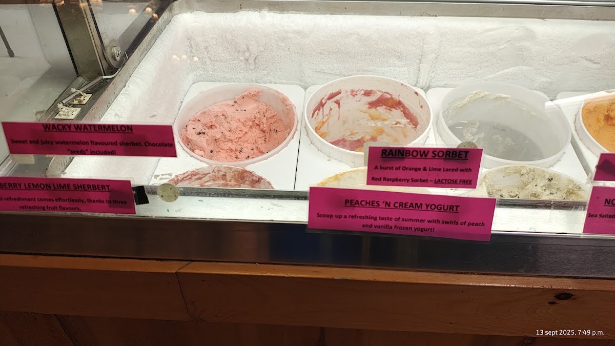 Big Moose Ice Cream Parlour Photo Menu 6