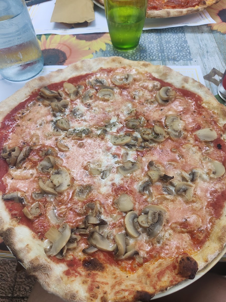 Osteria Internazionale Photo 6