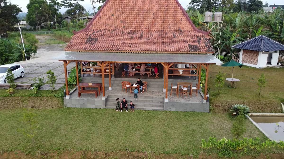 Paddi Hills Photo 2