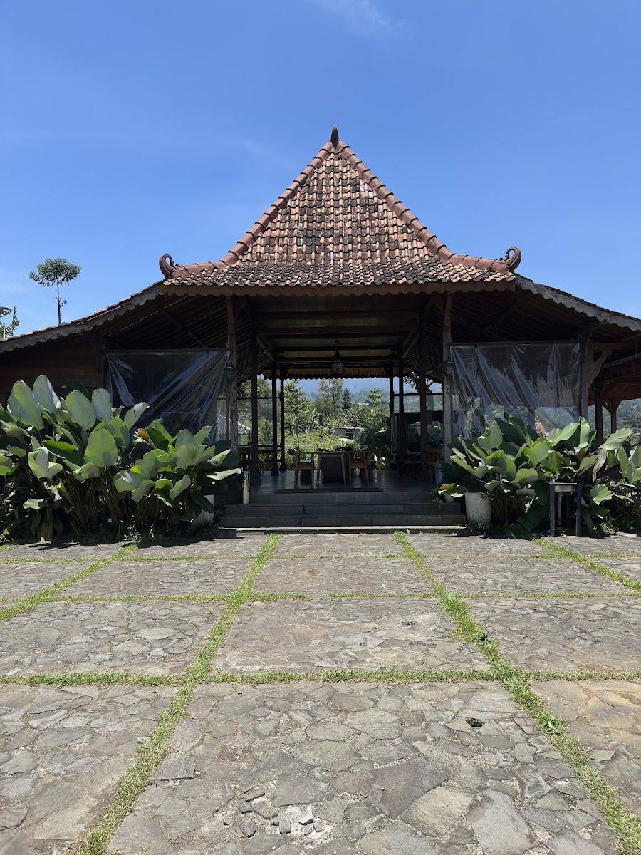Paddi Hills Photo 4