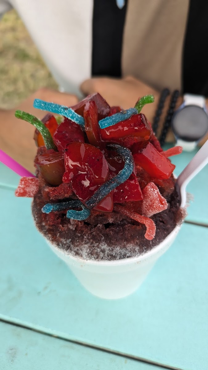 Tropical Palms Shave Ice Photo 10