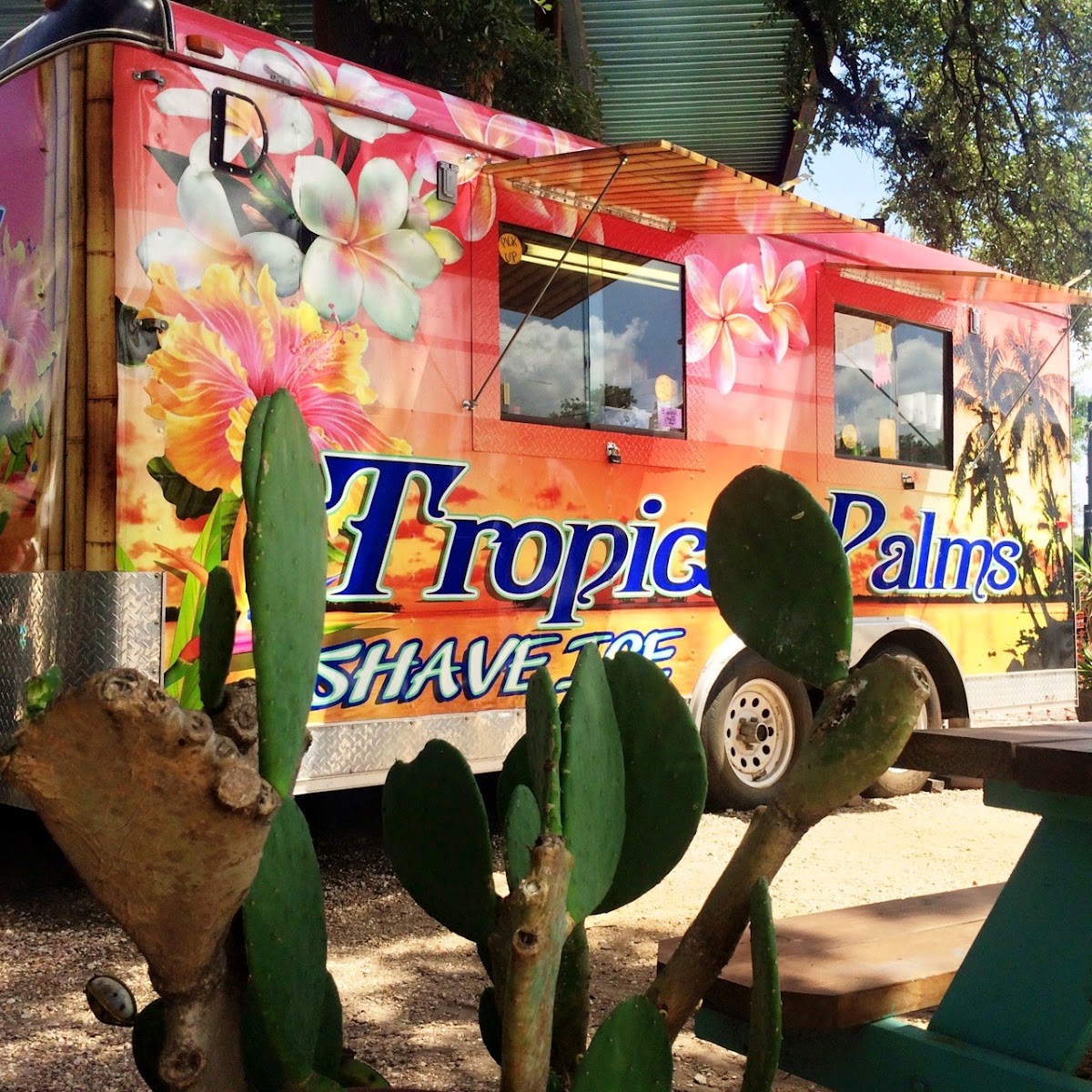 Tropical Palms Shave Ice Photo 2