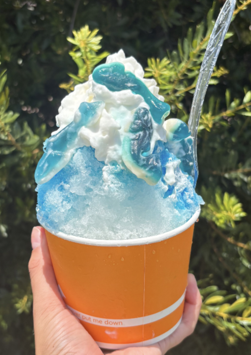 Tropical Palms Shave Ice Photo 3