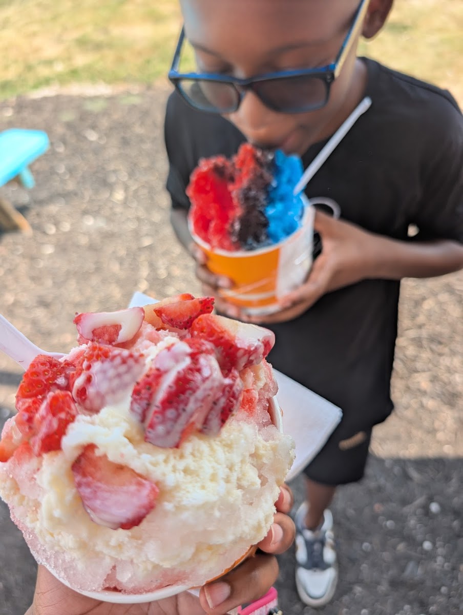 Tropical Palms Shave Ice Photo 4