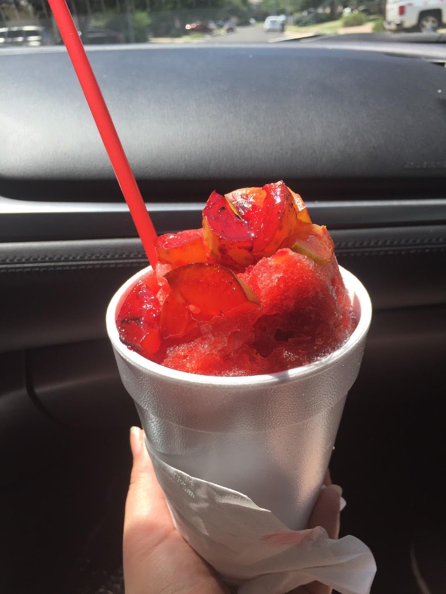 Tropical Palms Shave Ice Photo 5