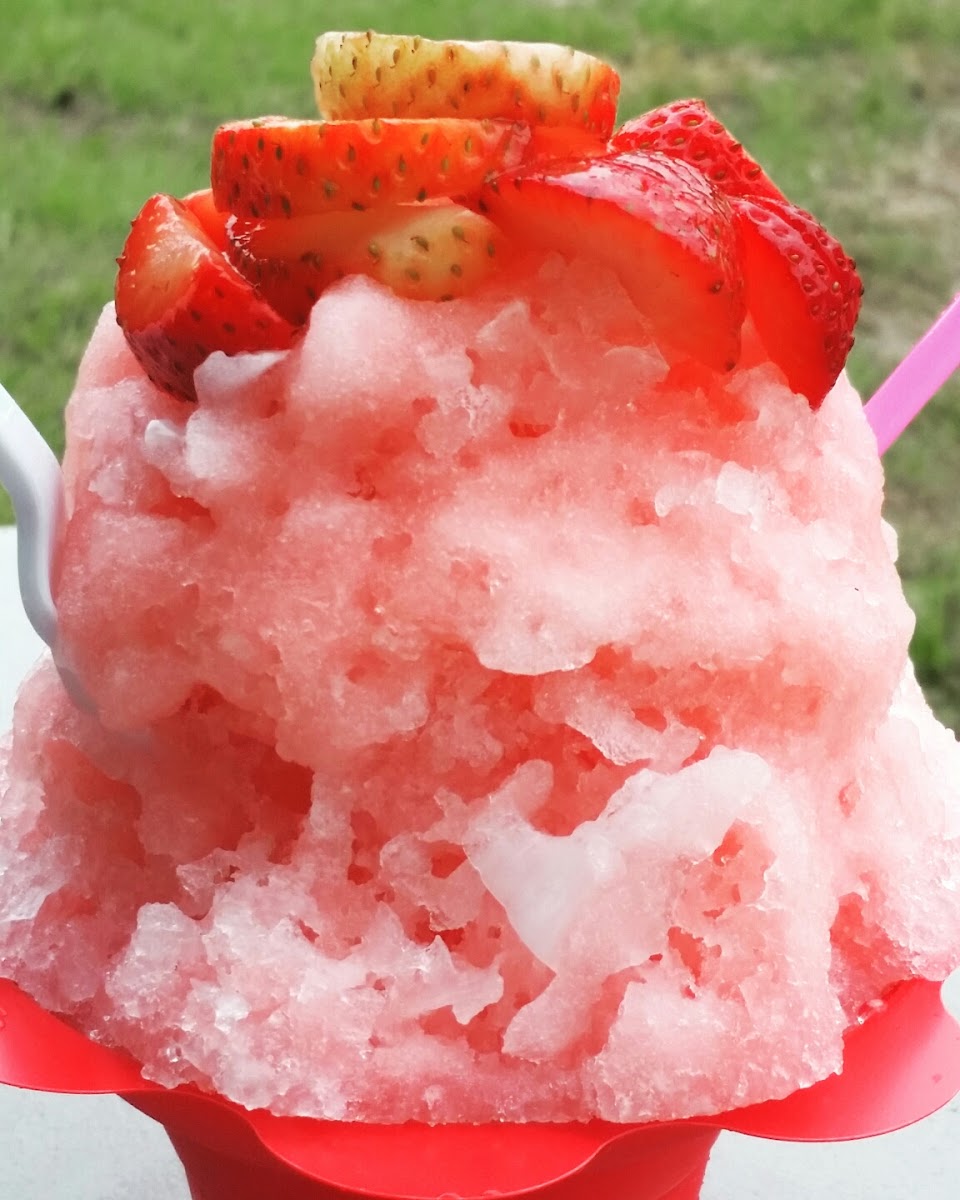 Tropical Palms Shave Ice Photo 7