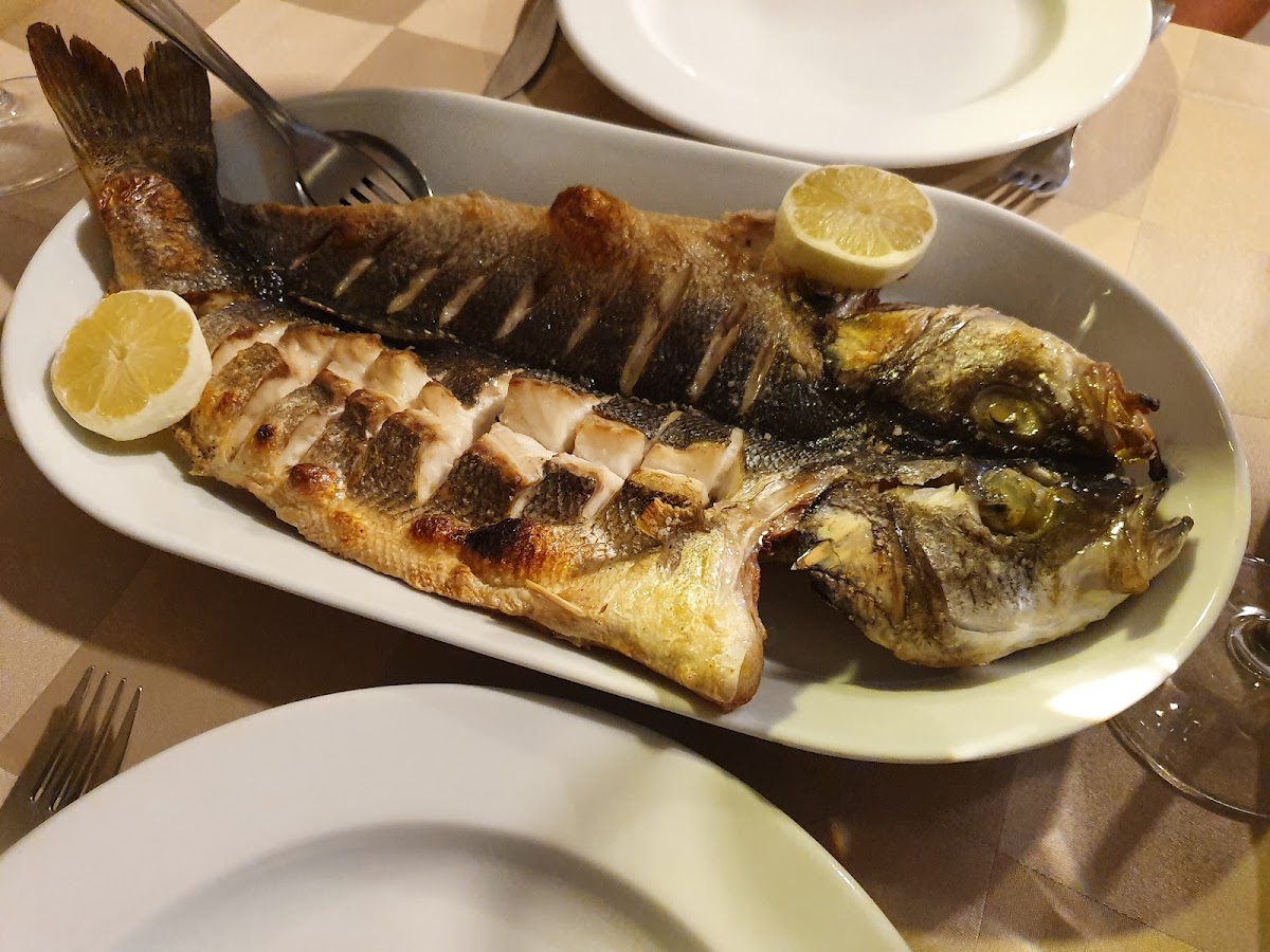 Restaurante Salsus Photo 5