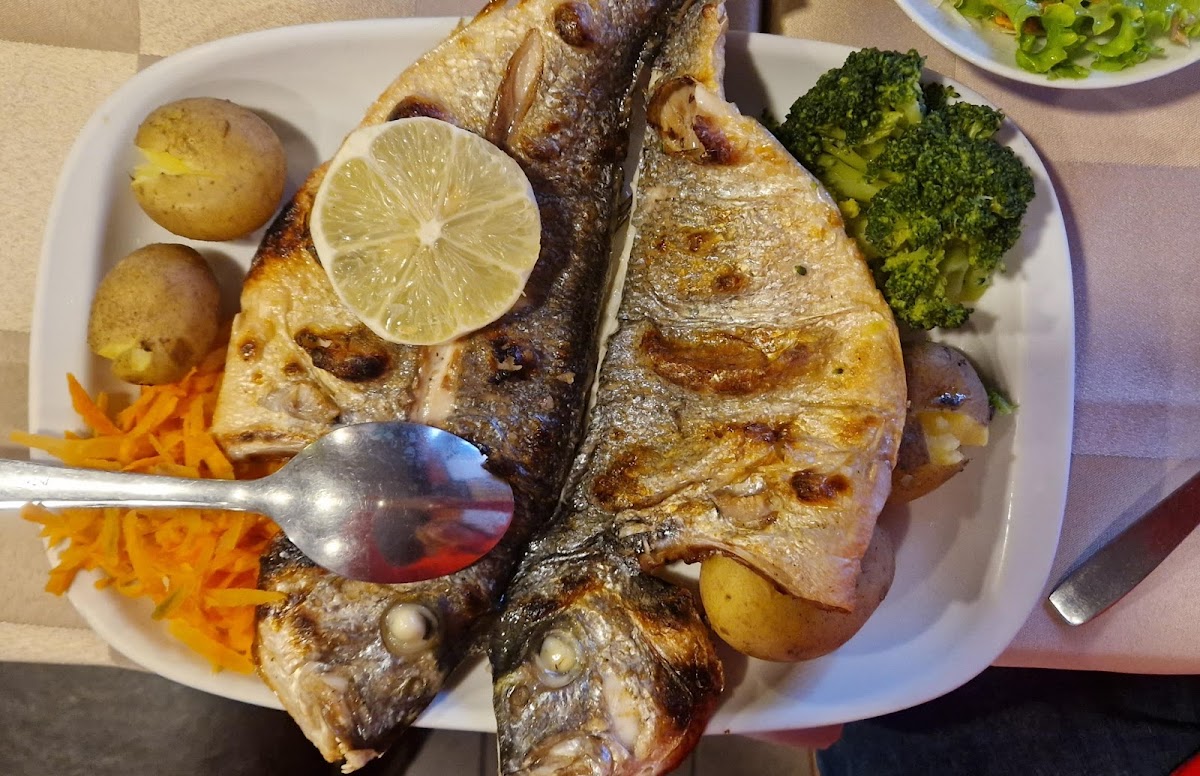 Restaurante Salsus Photo 7