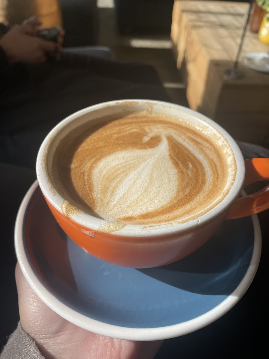 Twelve Table Bar & Eatery Waitomo (The General Store) Photo 4