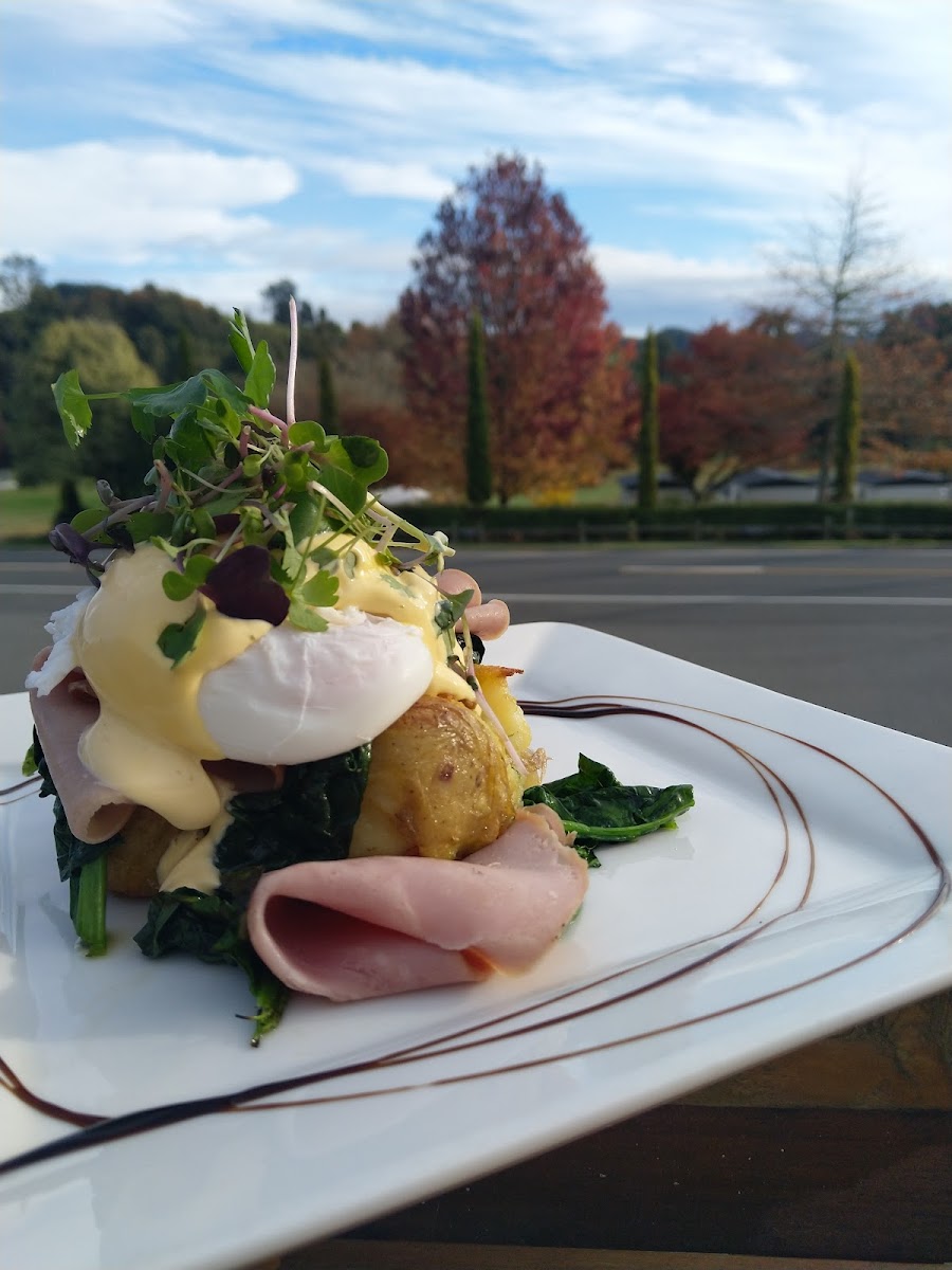 Twelve Table Bar & Eatery Waitomo (The General Store) Photo 9