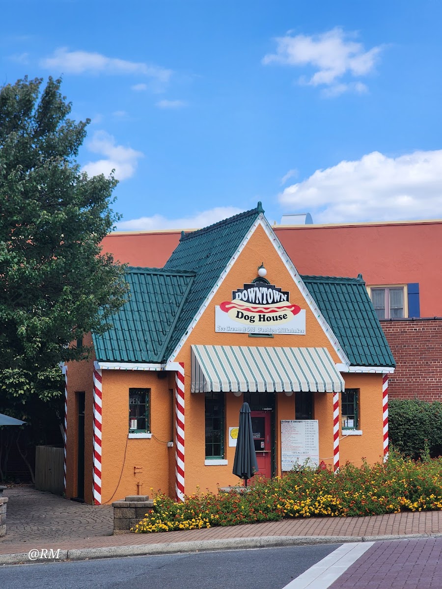 Downtown Dog House