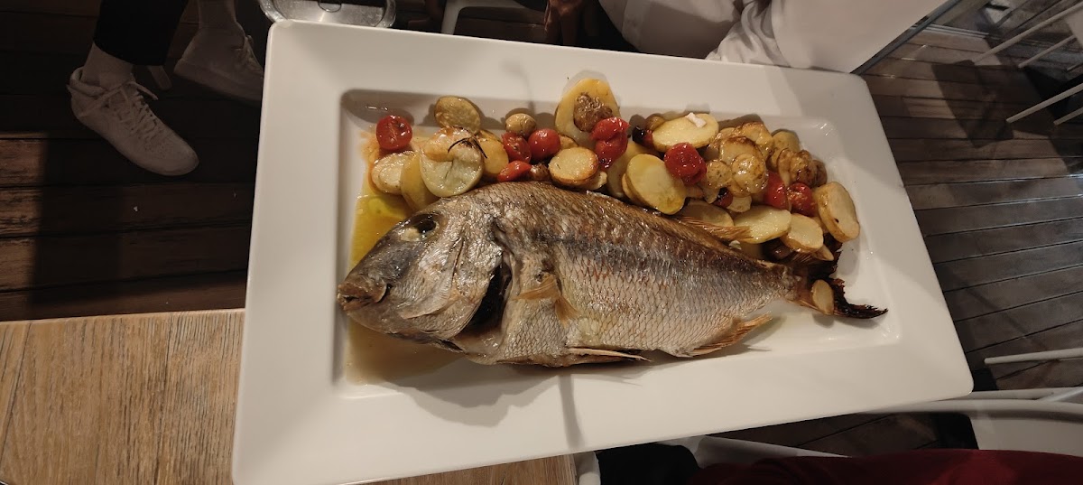 GENTEDIMARE RESTAURANT GOLFO ARANCI Photo 7