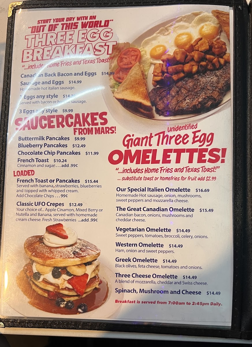 Flying Saucer Restaurant Photo Menu 6