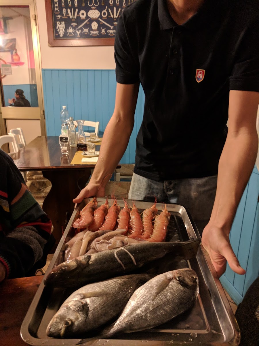 Trattoria Armandino - Specialitá di pesce Photo 8