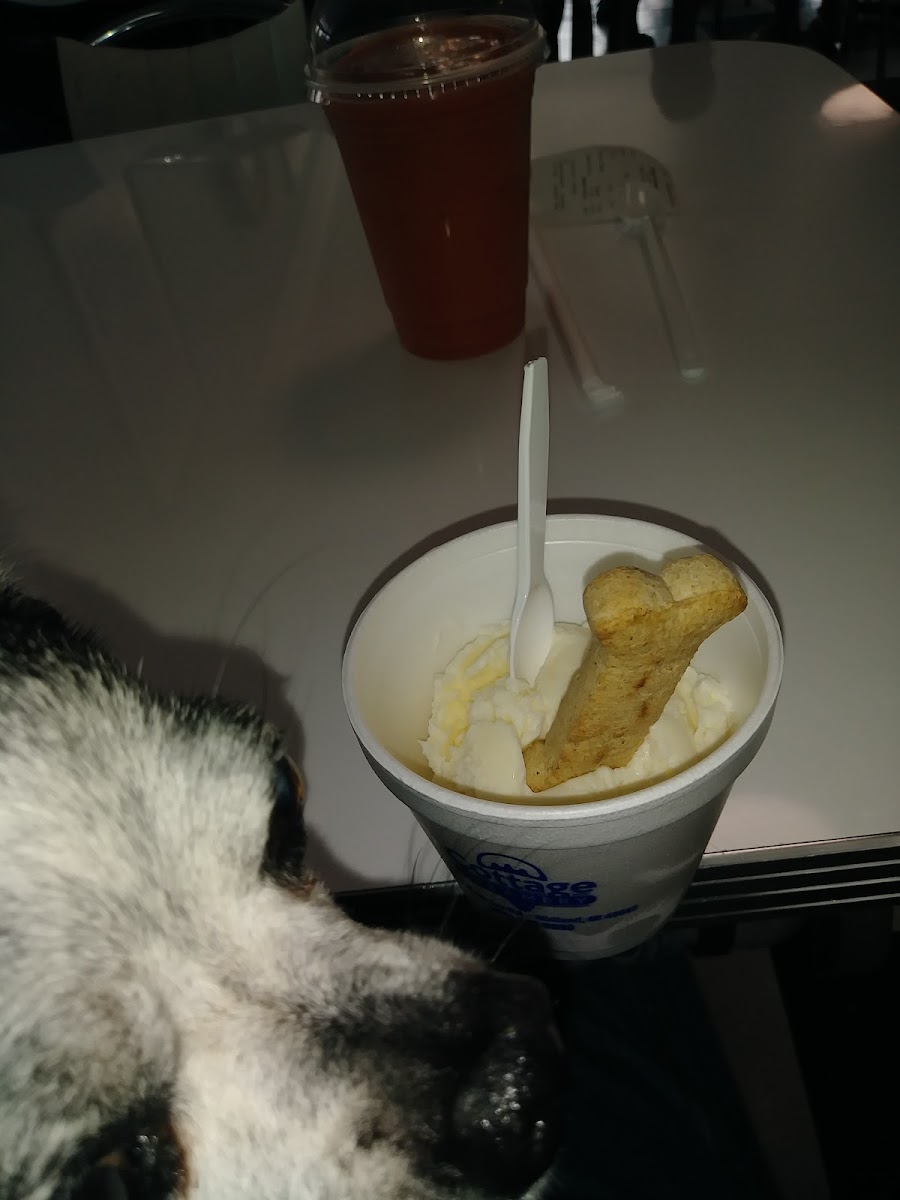 Cottage Creamery Photo 8