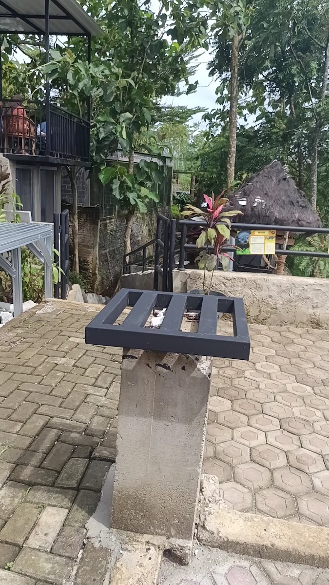 Kopi Kandang Photo 2