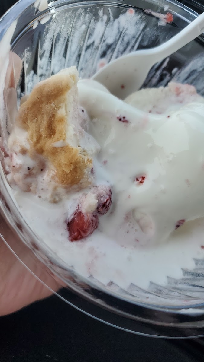 Twisters Frozen Custard Photo 7