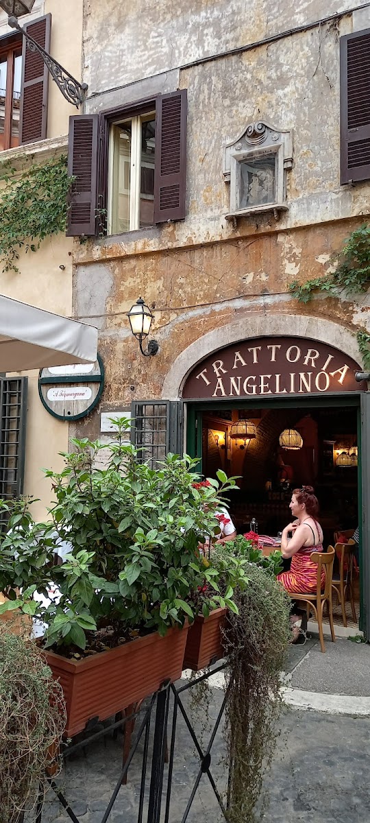 Ristorante Pizzeria Taverna degli Amici Photo 4