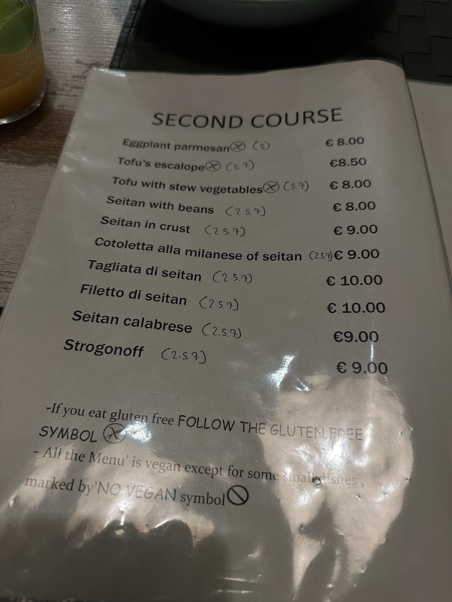 Nirvana Veg Restaurant Firenze Photo Menu 10