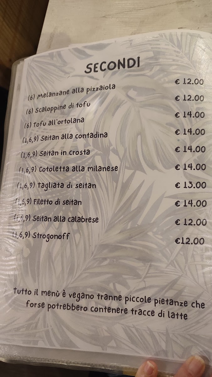 Nirvana Veg Restaurant Firenze Photo Menu 2