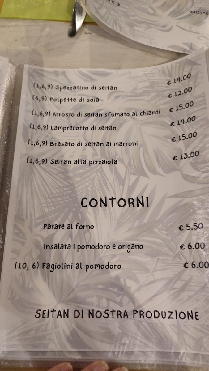 Nirvana Veg Restaurant Firenze Photo Menu 8