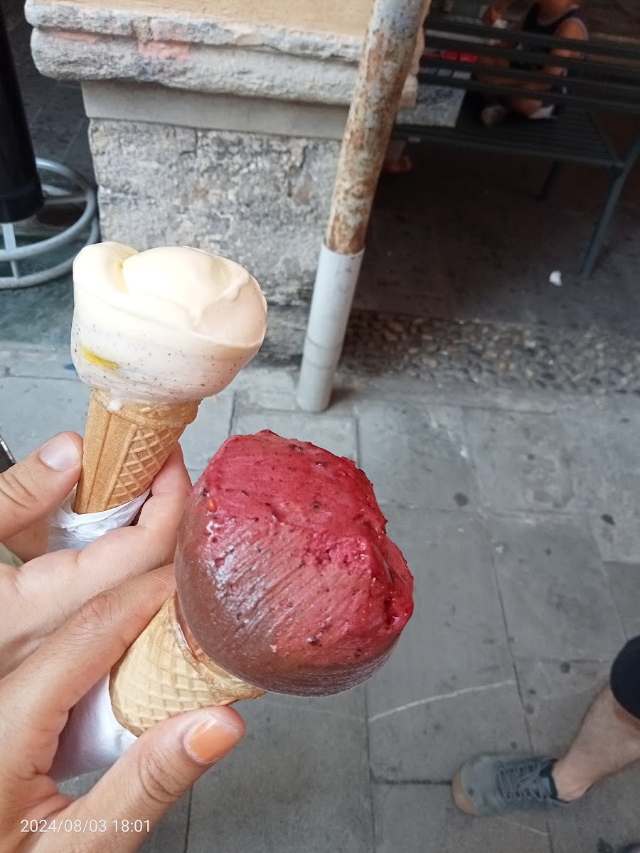 Gelateria The Octopus Photo 9