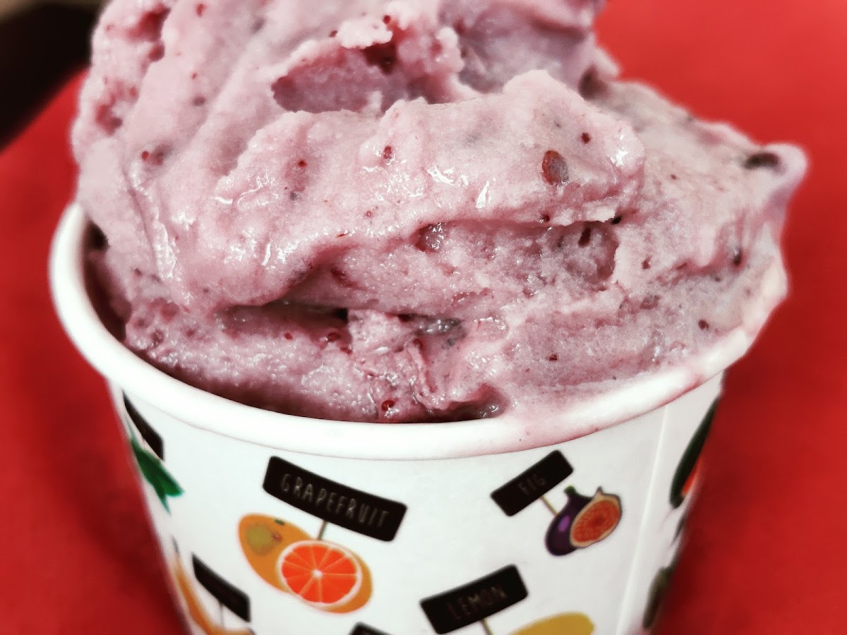 Gelateria Otello Photo 5