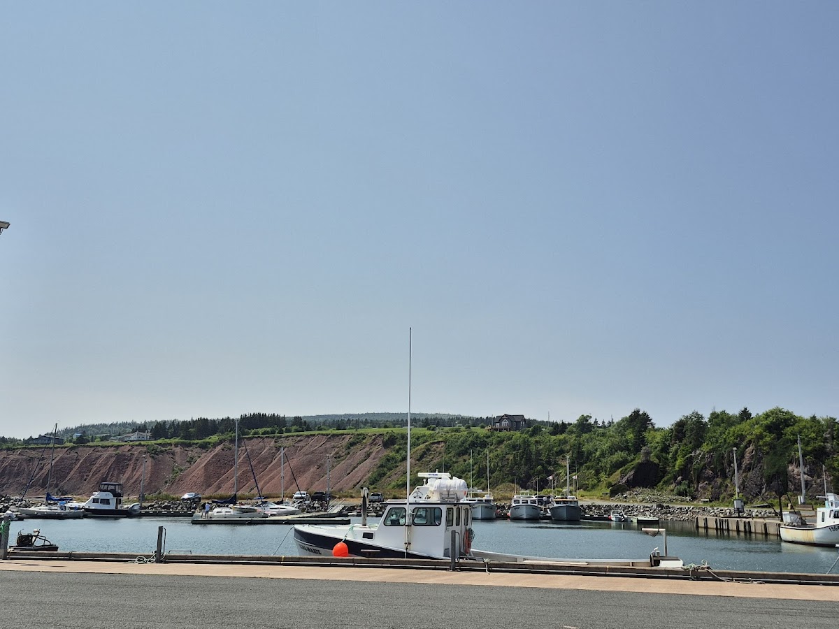 Fish and Ships Photo 4