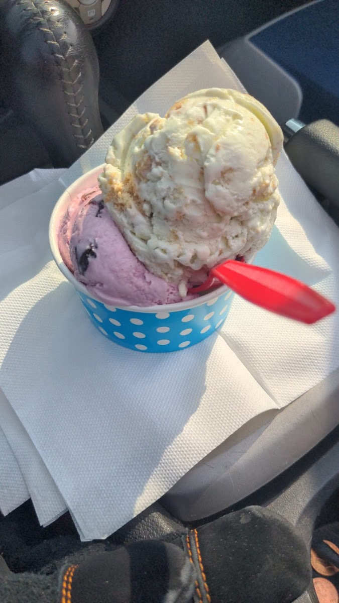 Booms Ice Cream Shop Photo 5