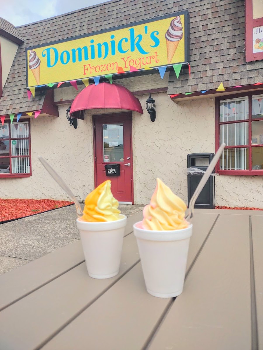 Dominick's Froyo and Ice cream Photo 2