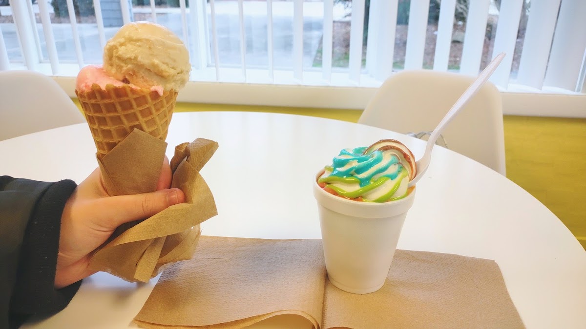 Dominick's Froyo and Ice cream Photo 9
