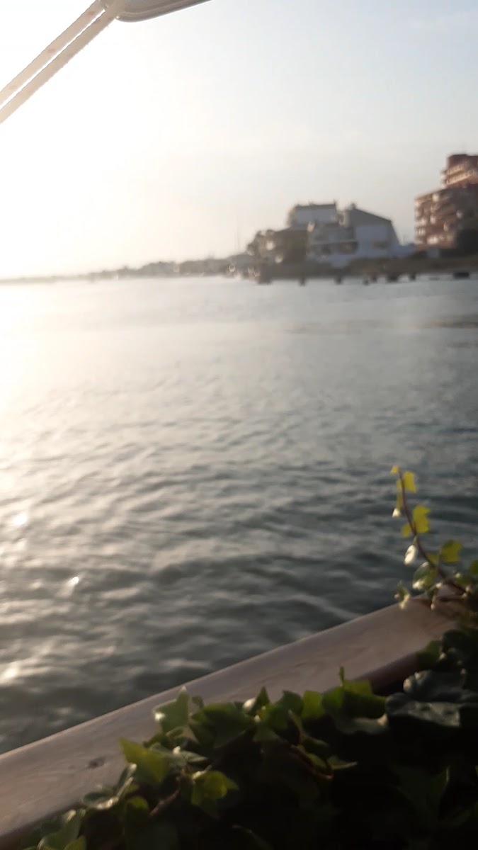Restaurant El Nautil Photo 2