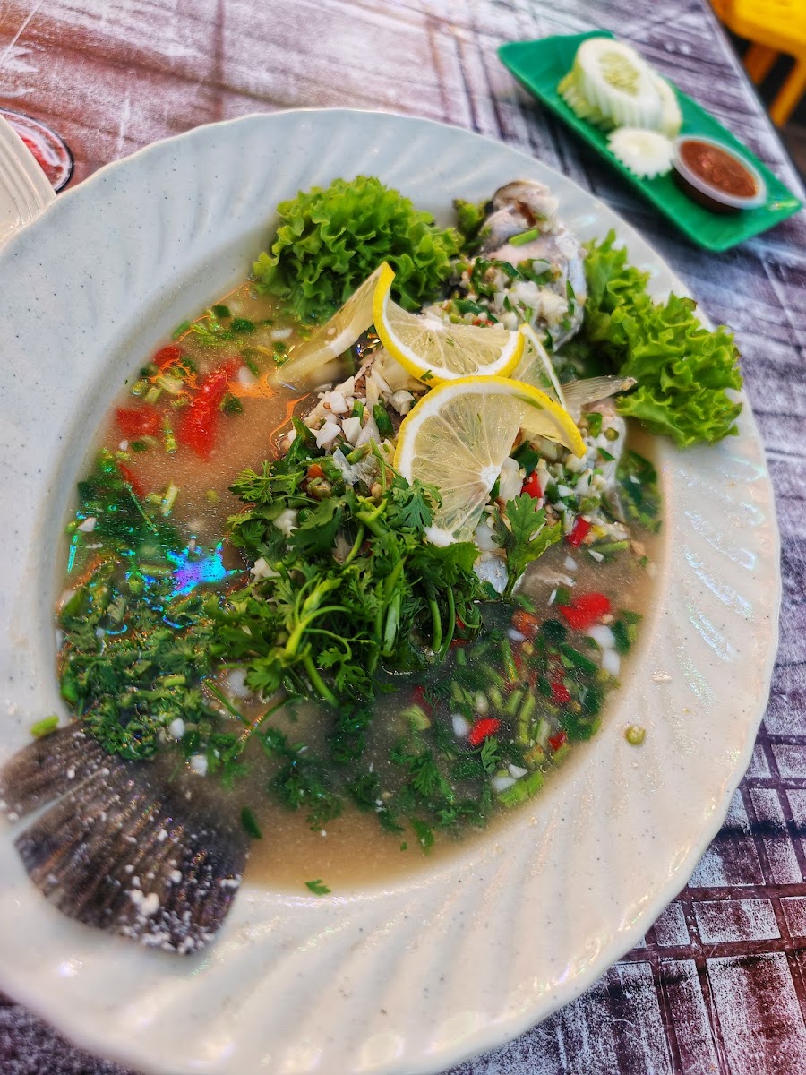 Elina Tomyam Photo 10