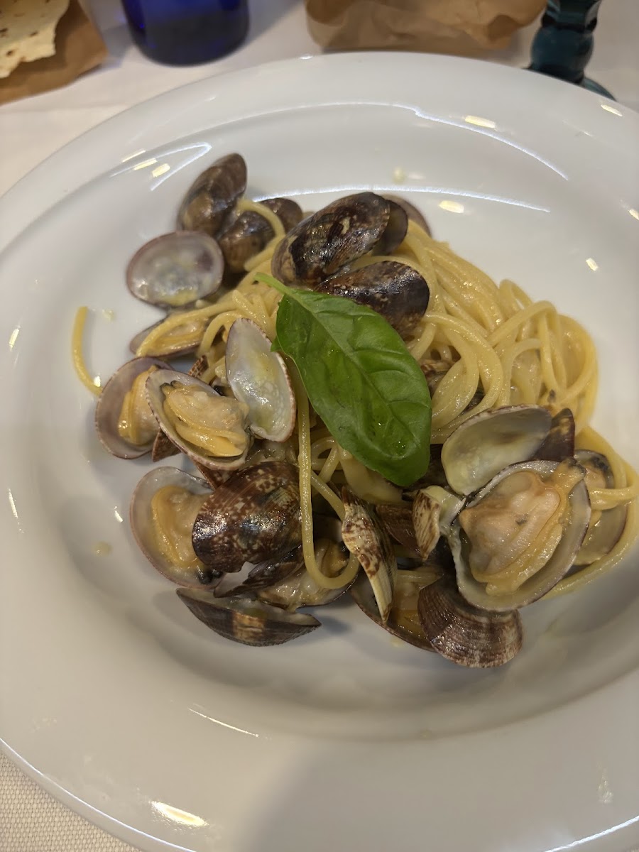 Ristorante Le Magnolie Latina Photo 3