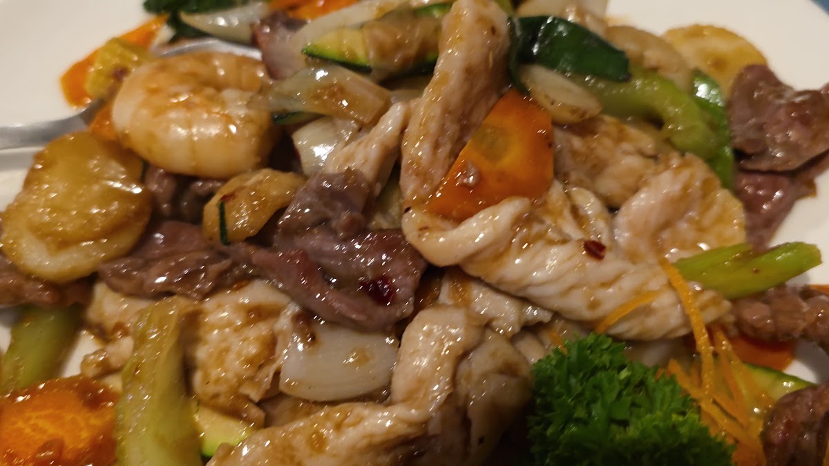 Ming Village Chinese Restaurant Photo 2