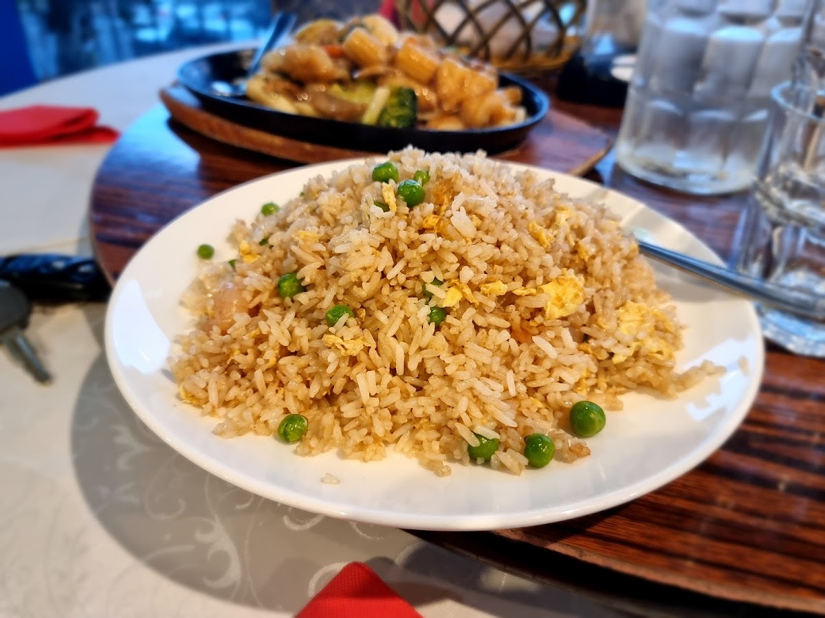 Ming Village Chinese Restaurant Photo 6
