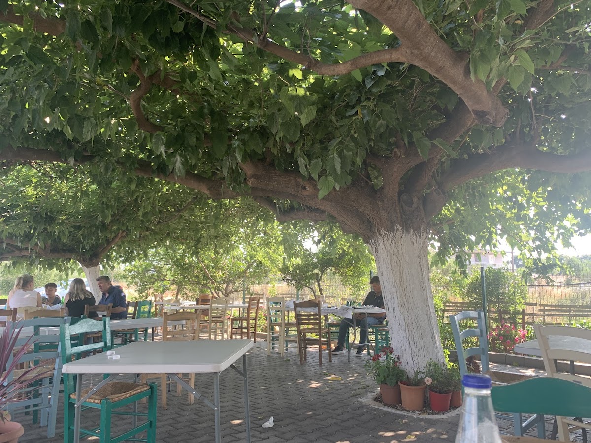 Costas Vassiliadis Tavern
